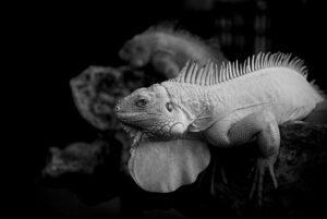 お菓子に含まれる添加物がニキビに与える影響とは？