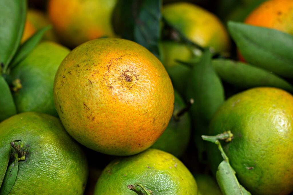 オーガニックお菓子が揃う成城石井のおすすめ商品は？