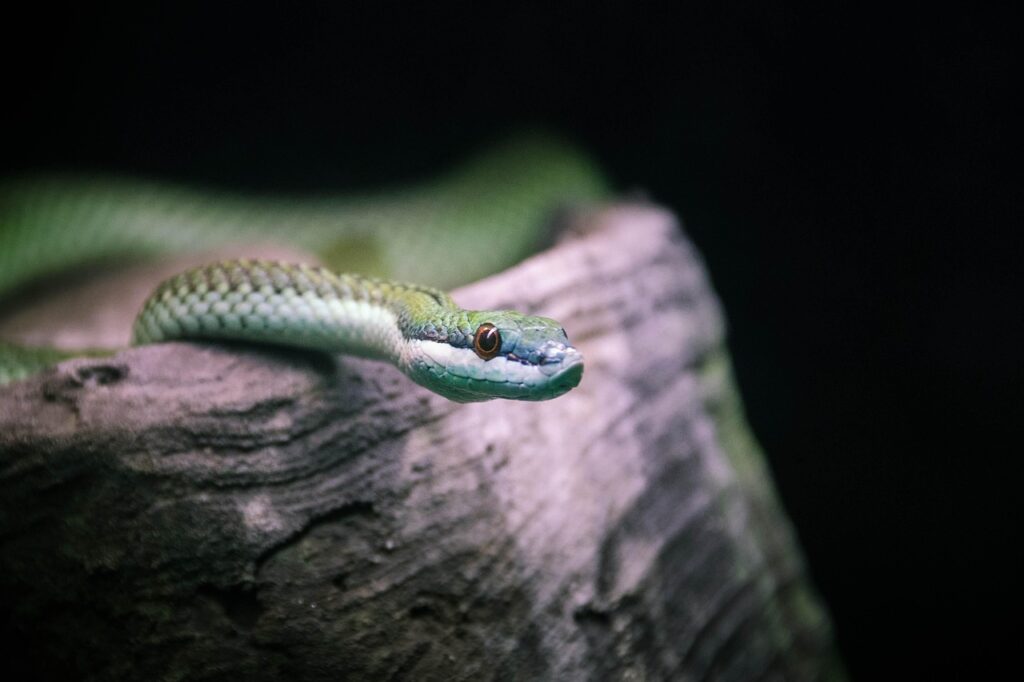 液状化による地震保険の補償はされるか？
